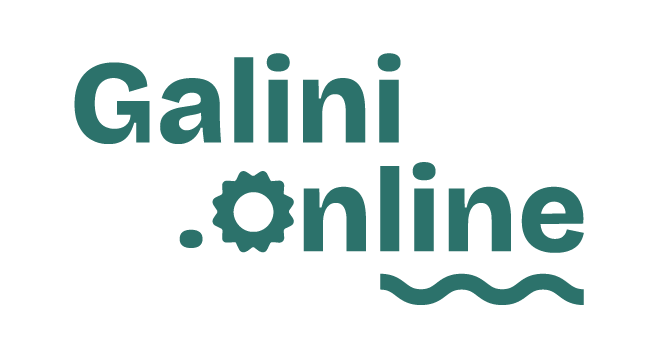 Logo Adèle Galini : Coach business Gestion du temps